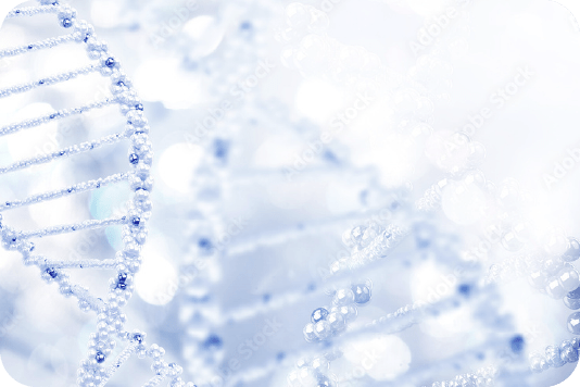 DNAのイメージ画像